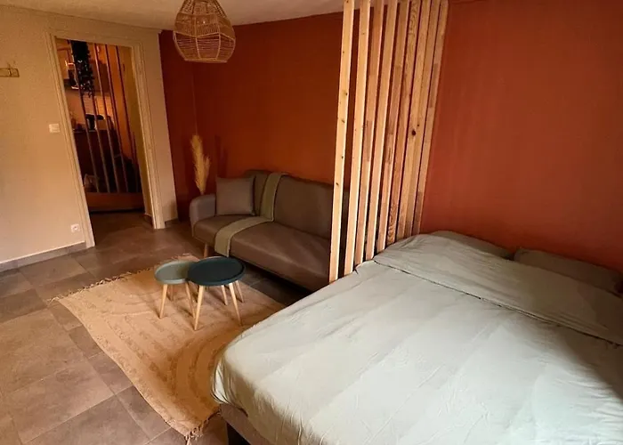 Rénové Et Cosy Idéalement Situé Nancy