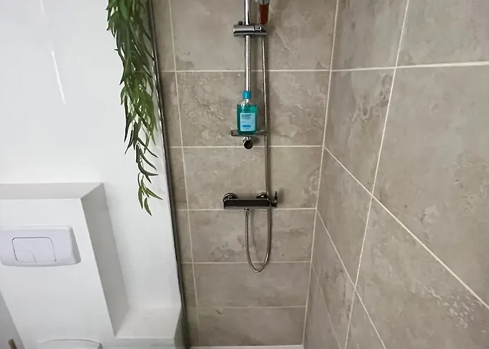 Appartement Rénové Et Cosy Idéalement Situé Nancy